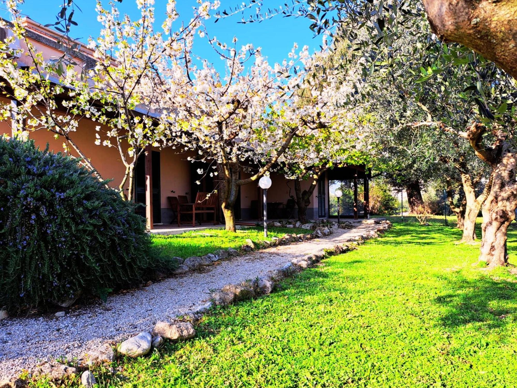 Don Federico Country Inn Moscufo Exterior photo